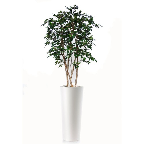 Planta semi-artificiala Ila, Ficus Retusa Natural Style Green - 200 cm